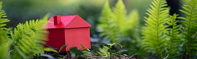 LBS-Modellhaus-steht-im-Grünen LBS Modellhaus steht im Grünen